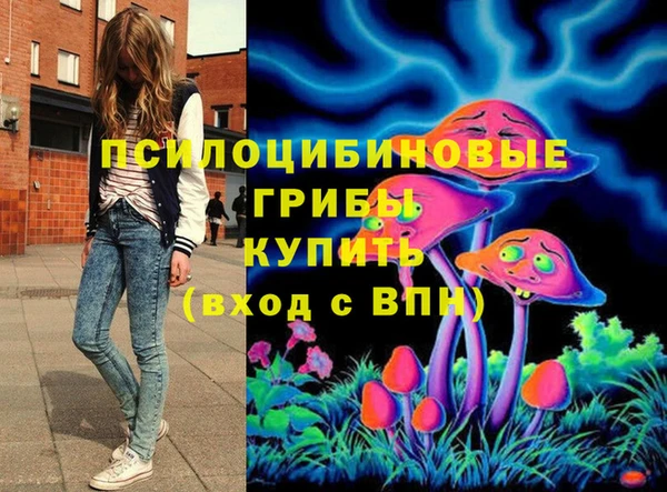 ГАЛЛЮЦИНОГЕННЫЕ ГРИБЫ Абдулино