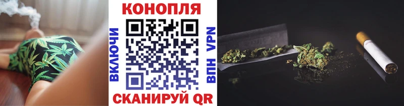 Каннабис план  как найти   Серпухов 